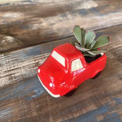 Red truck succulent