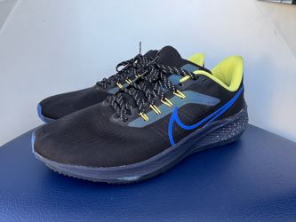 Nike Pegasus 39