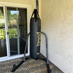 Punching Bag Everlast