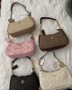 New Coach Teri Purses