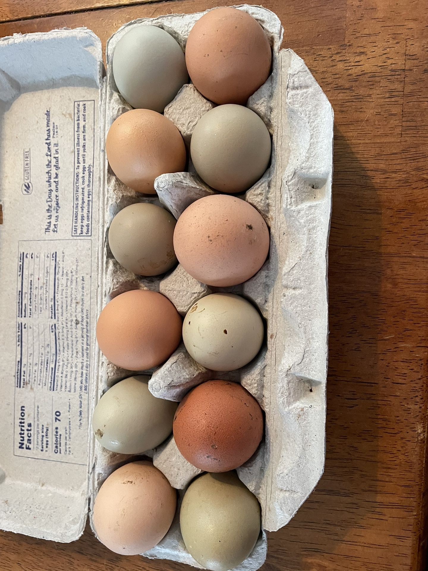 Fresh Eggs