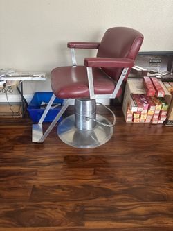 Salon Chair