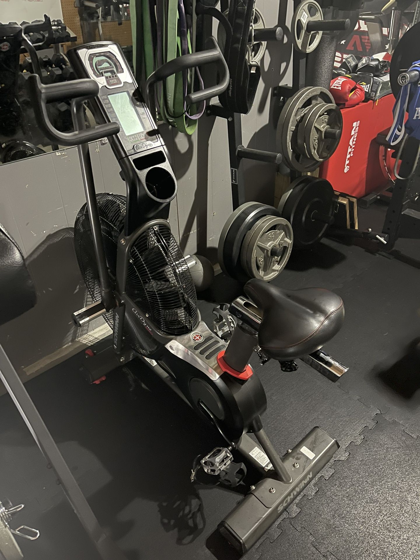 Schwinn Airdyne Pro