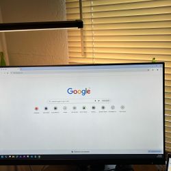 HP Monitor