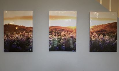 3 piece canvas painting 🖼