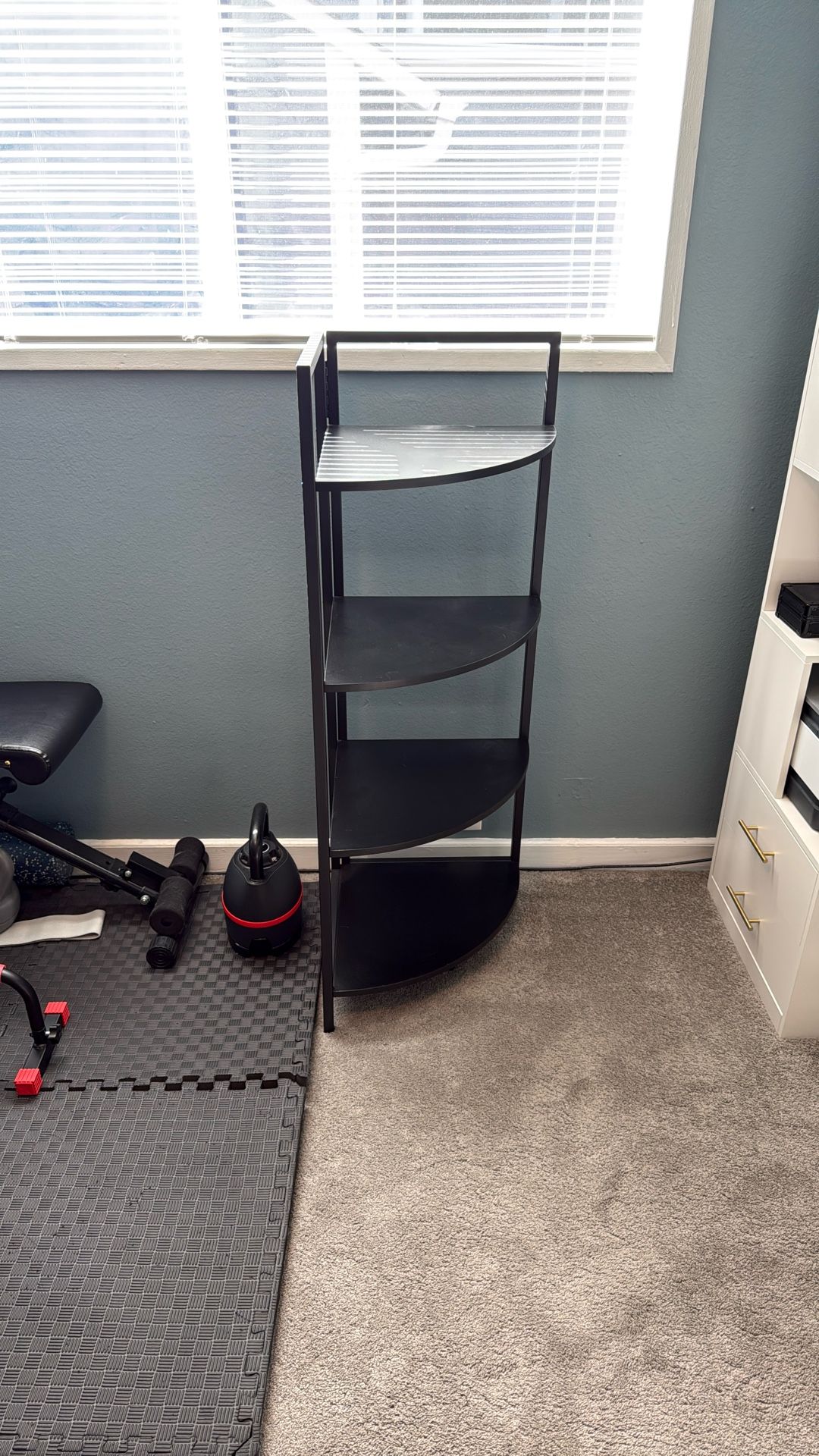 Corner Bookshelf Stand/Organizer