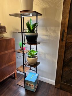 Plant stand with lights