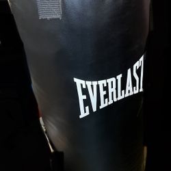 Everlast Heavy Punching Bag