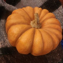 Large Decorative Pumpkin - Resin