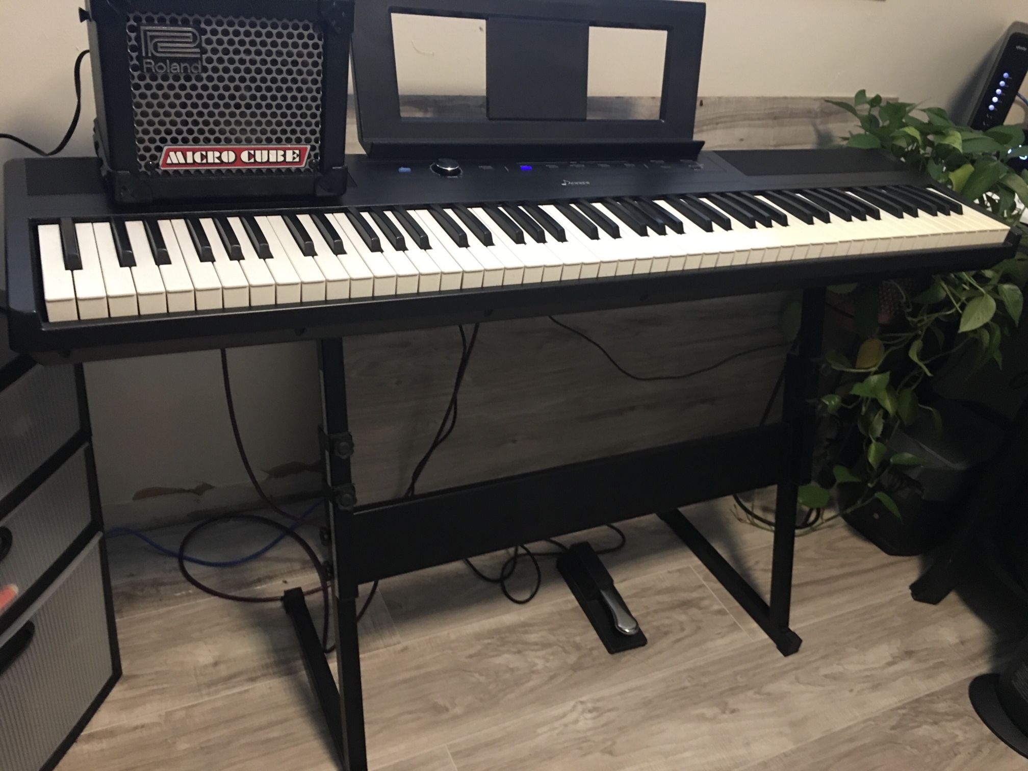 Digital Piano, Amp, Stand