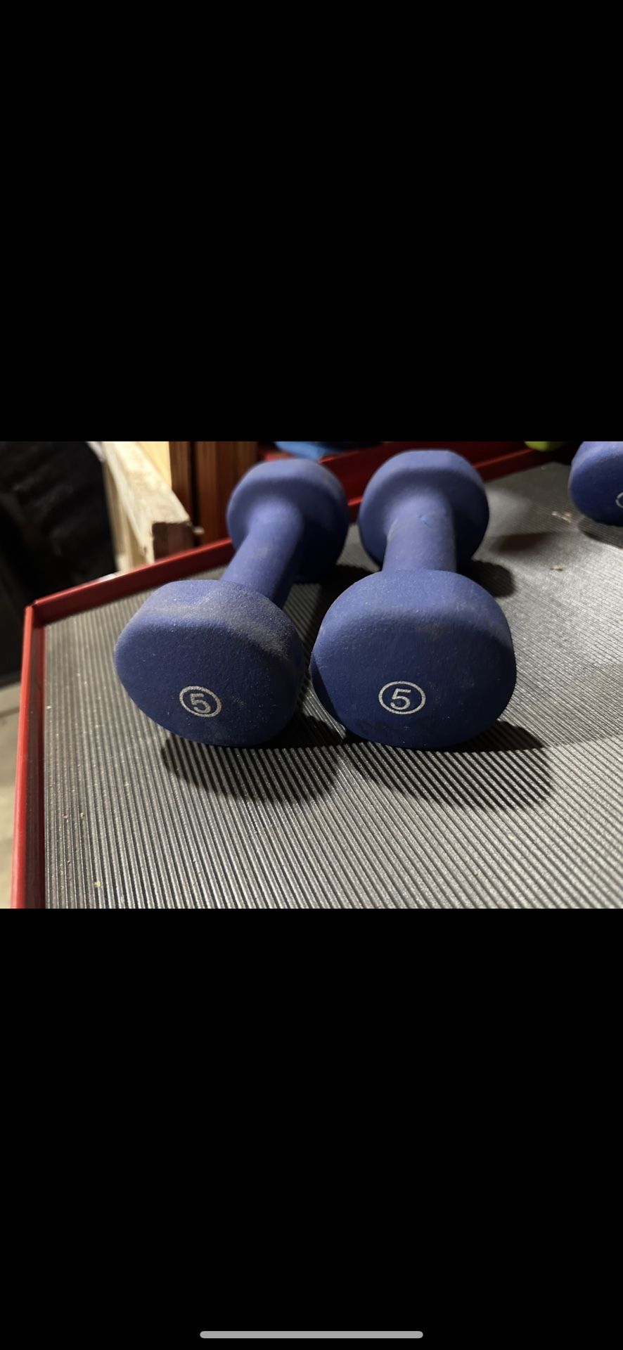 Pair of 5lb Dumbbells