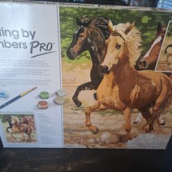 Paint By Numbers Pro Kit