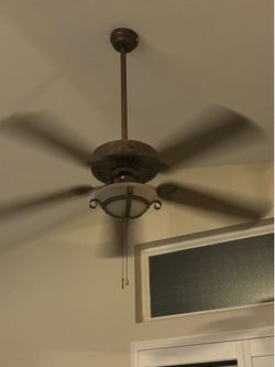 Fan