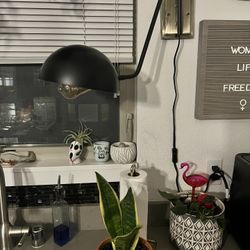 Plug In Swing Arm Task Light 