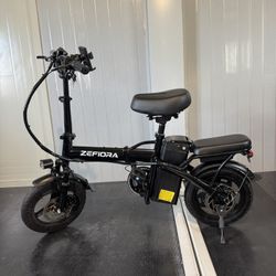 Electric bicycle