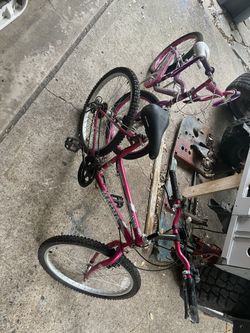 Girl Bikes (2)