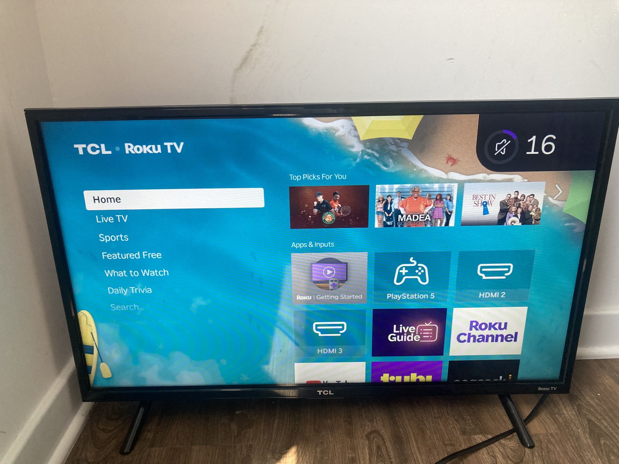 TCL Roku 32” HD TV