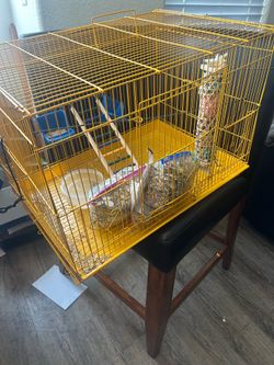 Bird cage and feed