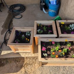 Fully Loaded Planter Boxes 