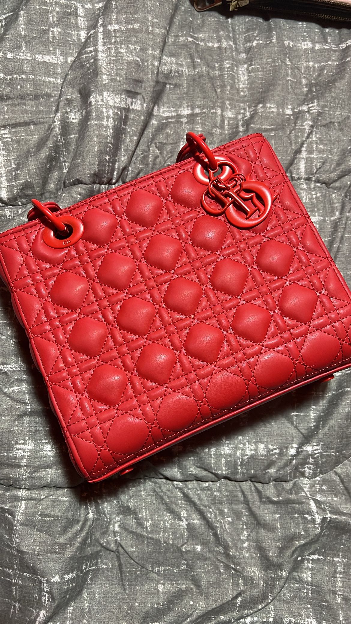 Dior Saddle Bag