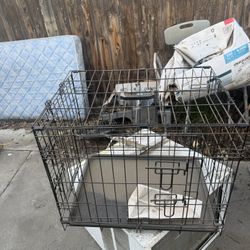 Dog Cage—cat Trap