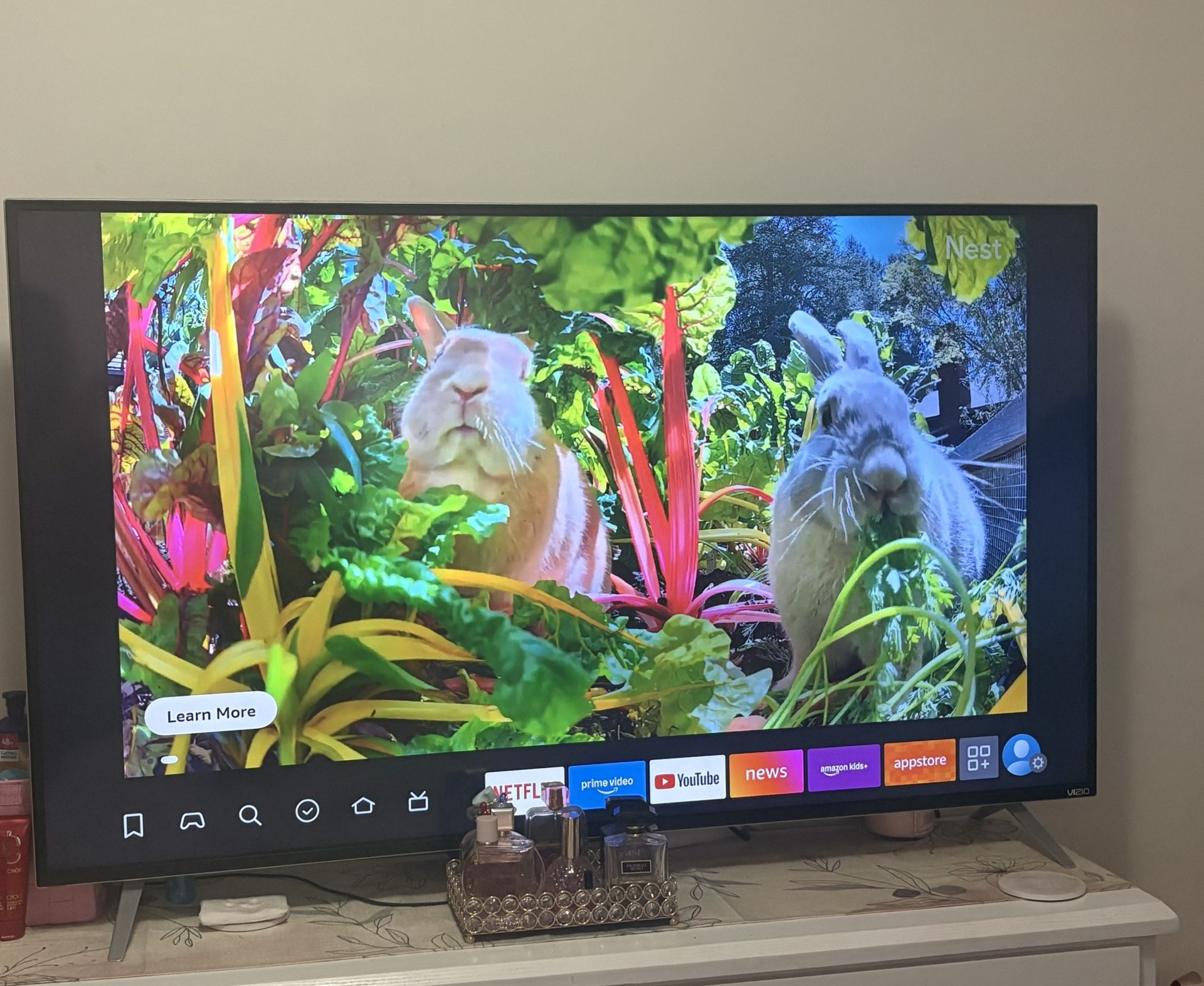 Vizio 60” Tv