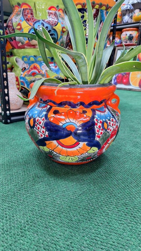 Talavera Pots