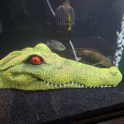 Aquarium Bubbler