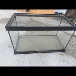 Fish Tank Or Terrarium 