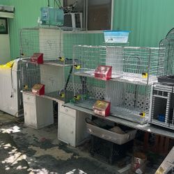 Jaulas Nuevas Para Palomas 