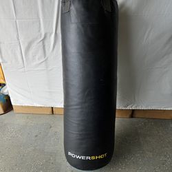 EVERLAST POWERCORE PUNCHING BAG