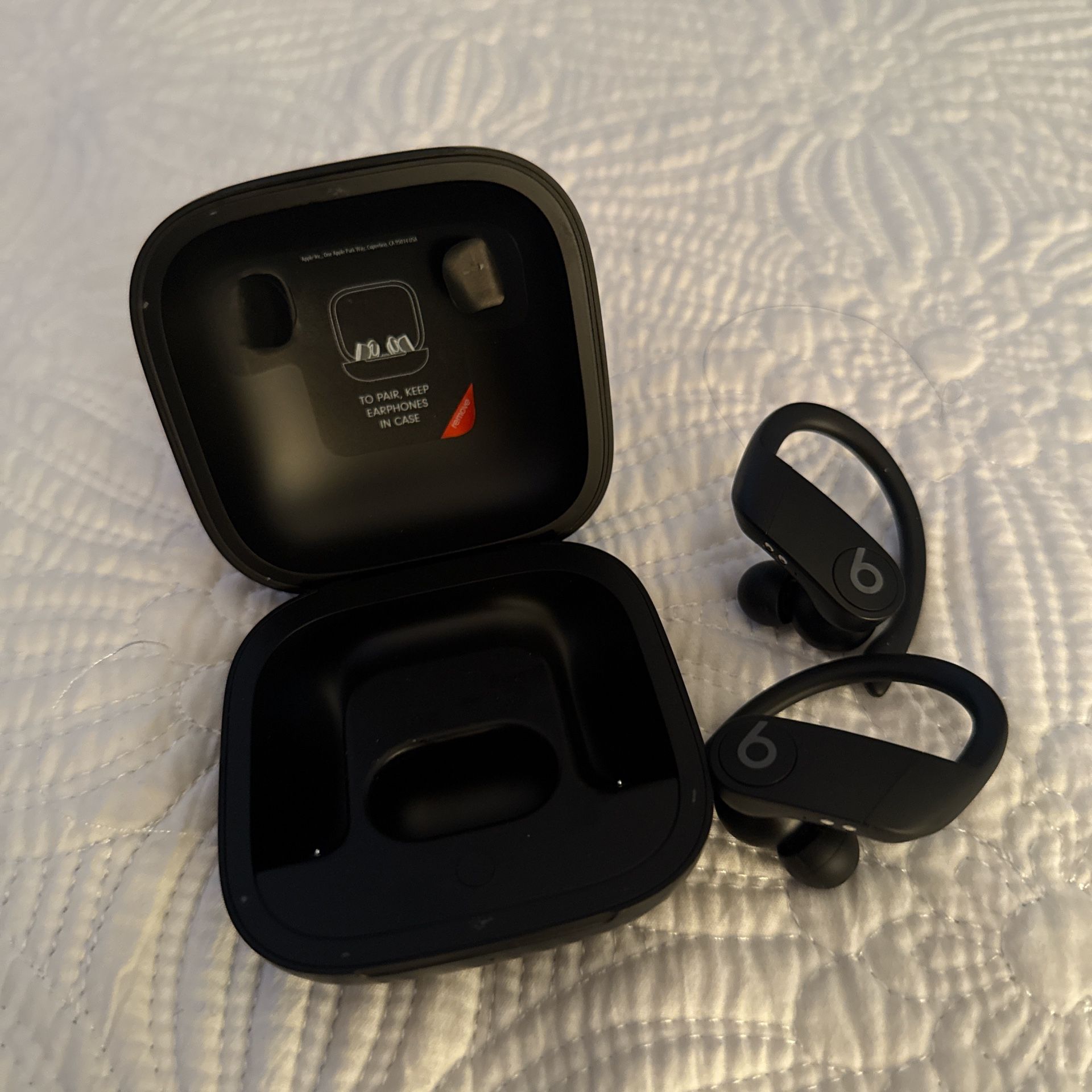 Powerbeats Pro Totally Wireless Earbuds In Black 
