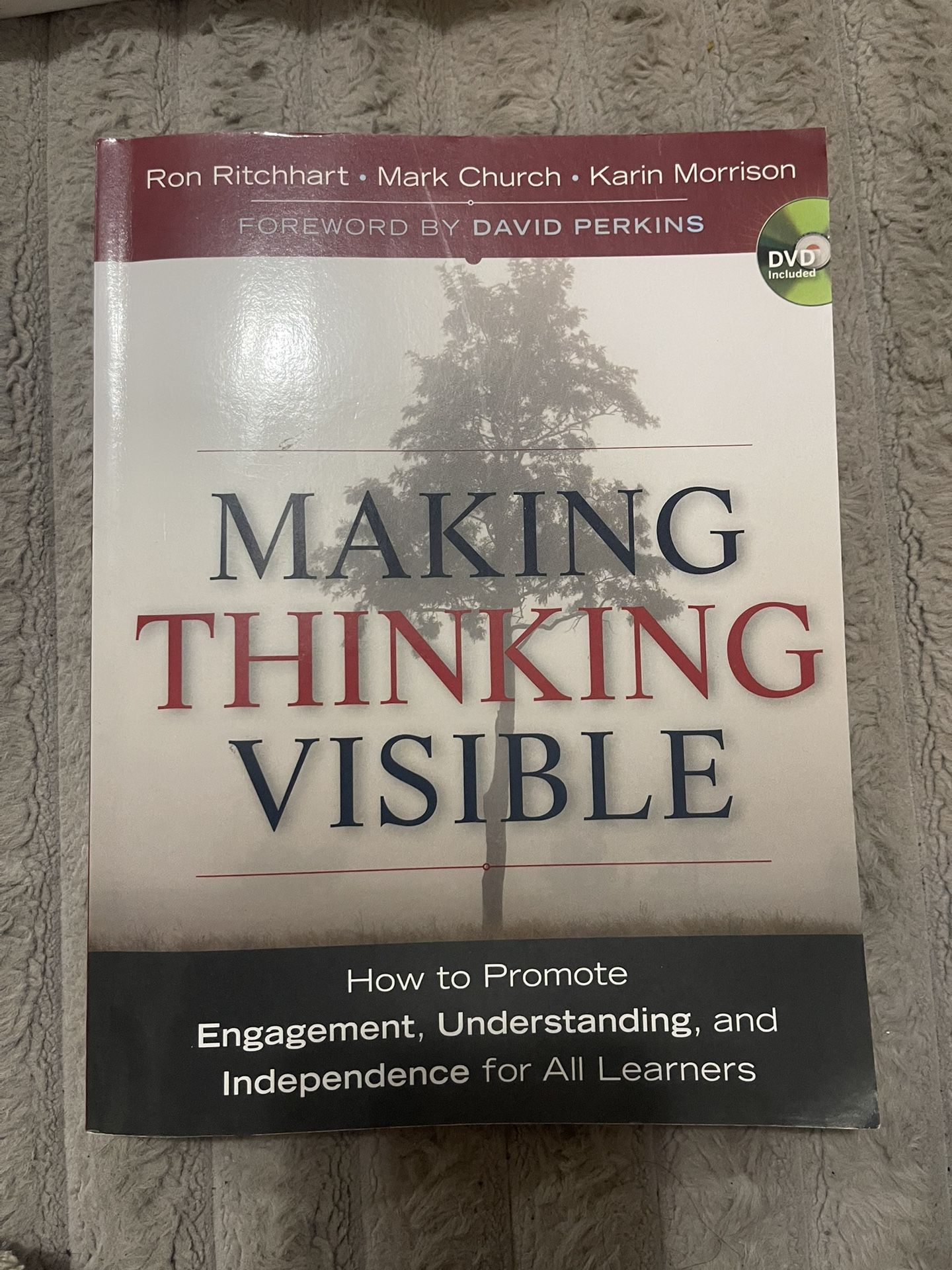 Making Thinking Visible
