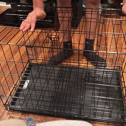 Small dog c can you can you take this over here? Take a picture of his dog crate donuts here to take a picture of the stuff in the crate feather blank