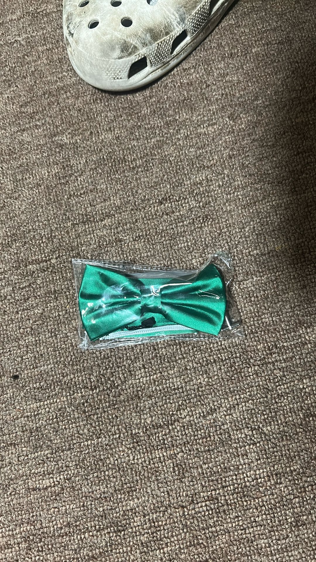 Adam Young Green Bowtie