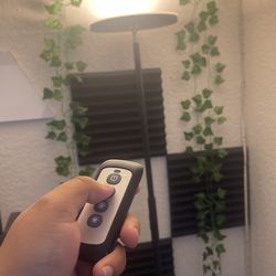 Smart Floor Lamp