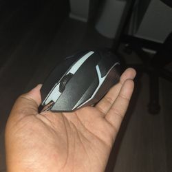 Black Gaming Mouse 