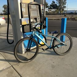 Mafia Chonky Money On Top For Thrust Traffics La Plaga Or Geared Commas