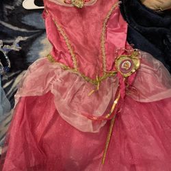 Sleeping Beauty Halloween Costume