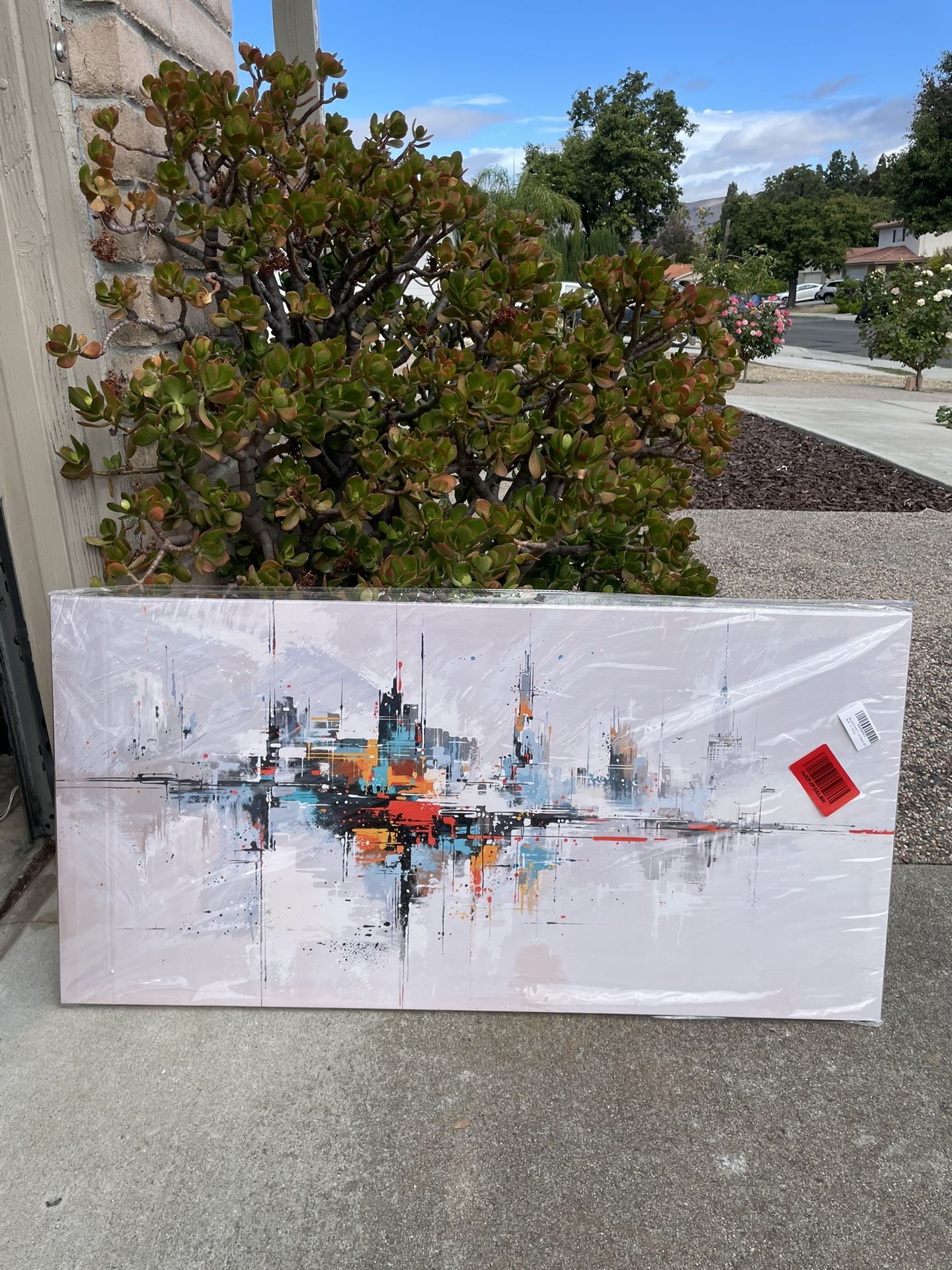 brand new -Canvas Wall Art Decor