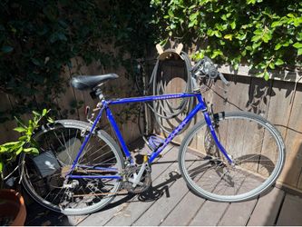 90s Vintage Bianchi Road Bike - 53cm Frame - Rare Purple Color