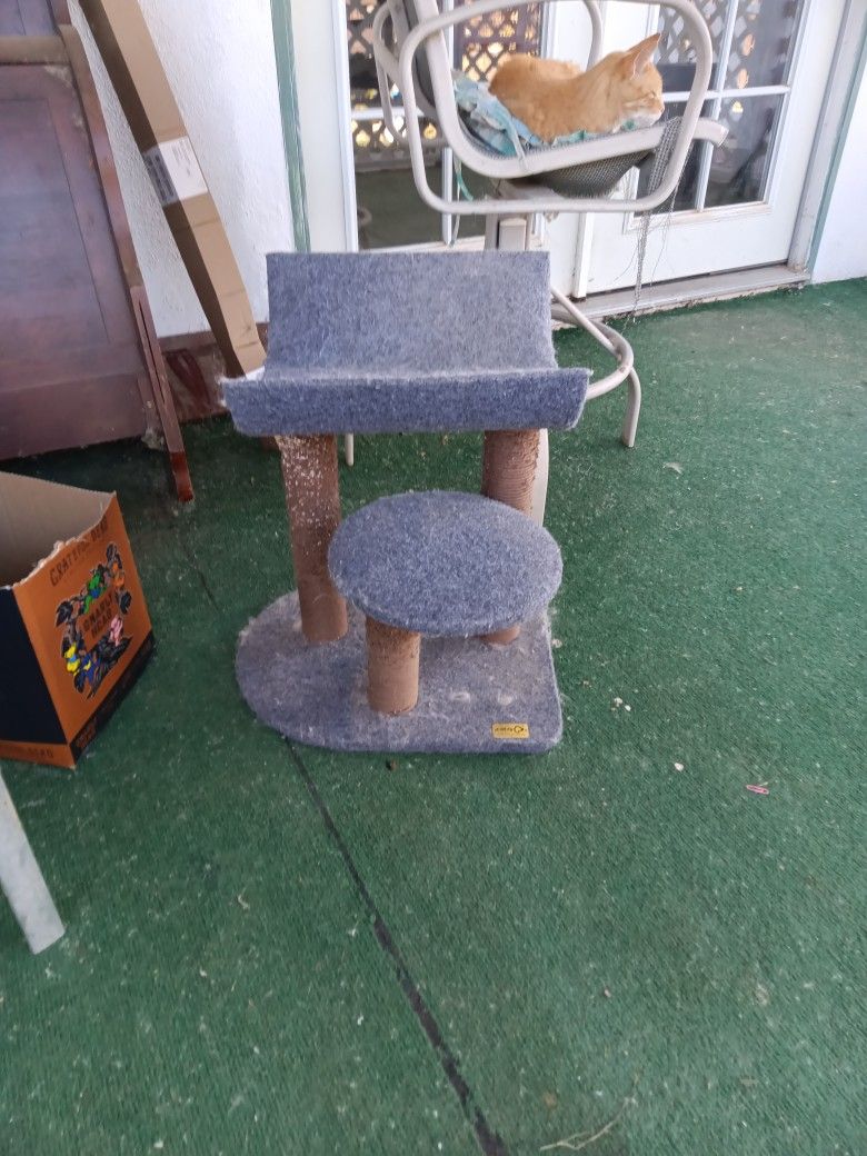 Cat Climbing Post And Place To Lay