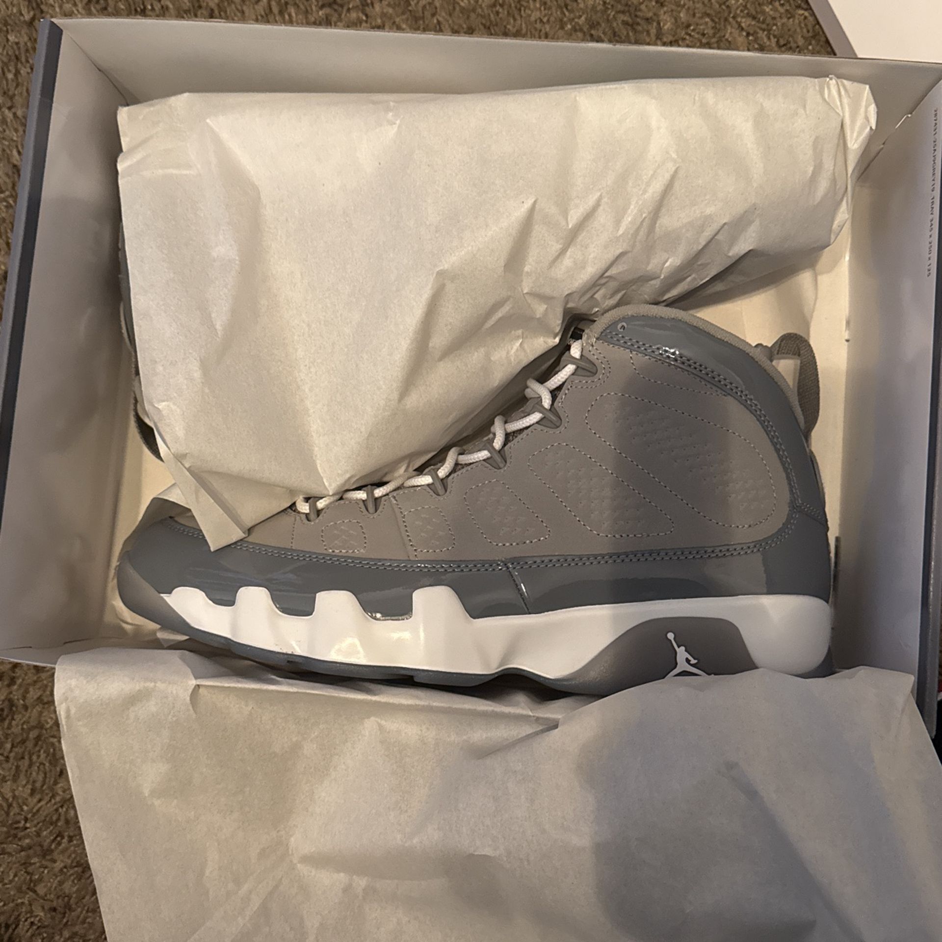 Jordan 9 Cool Gray