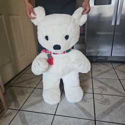 Oso de peluche 