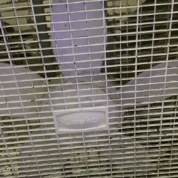 Standing Fan