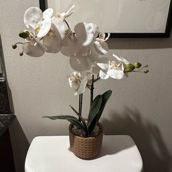 White Artificial Orchid Plant