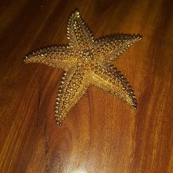 Monet Signed Silver Tone Textured Starfish Brooch Pin