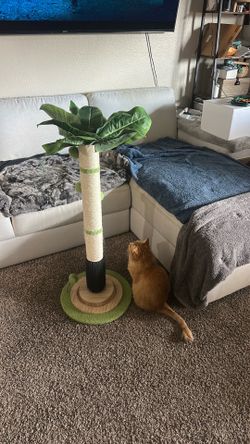 Cat Scratcher