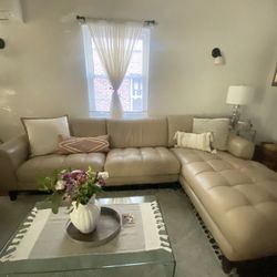 Sectional L Shape 
