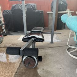 Bench Press 